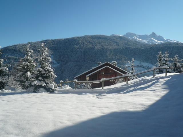 Appartements Bergerie Des 3 Vallees C - Appartements Bergerie Des 3 Vallees C - Méribel Les Allues 1200