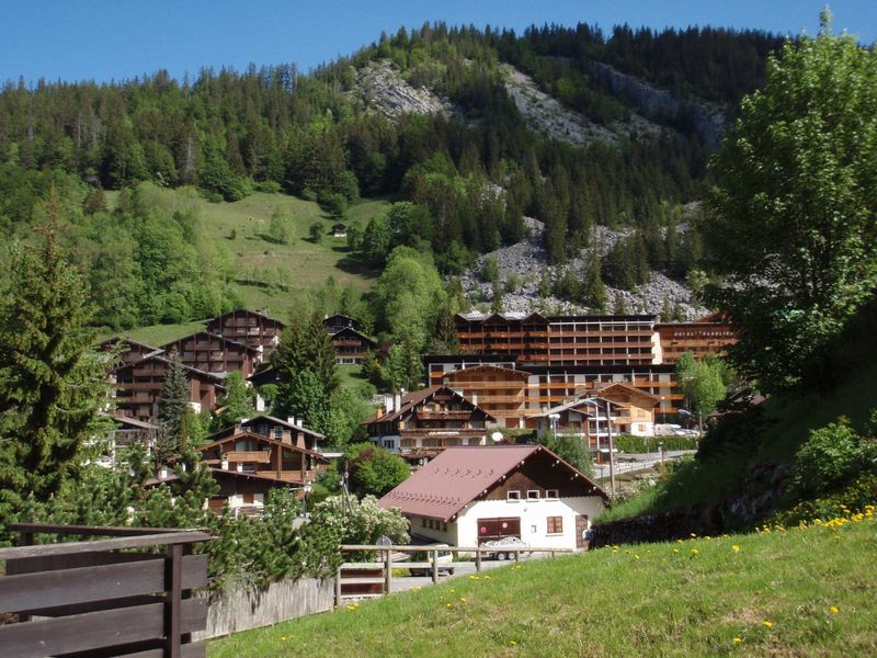 PARNASSE 1 - La Clusaz