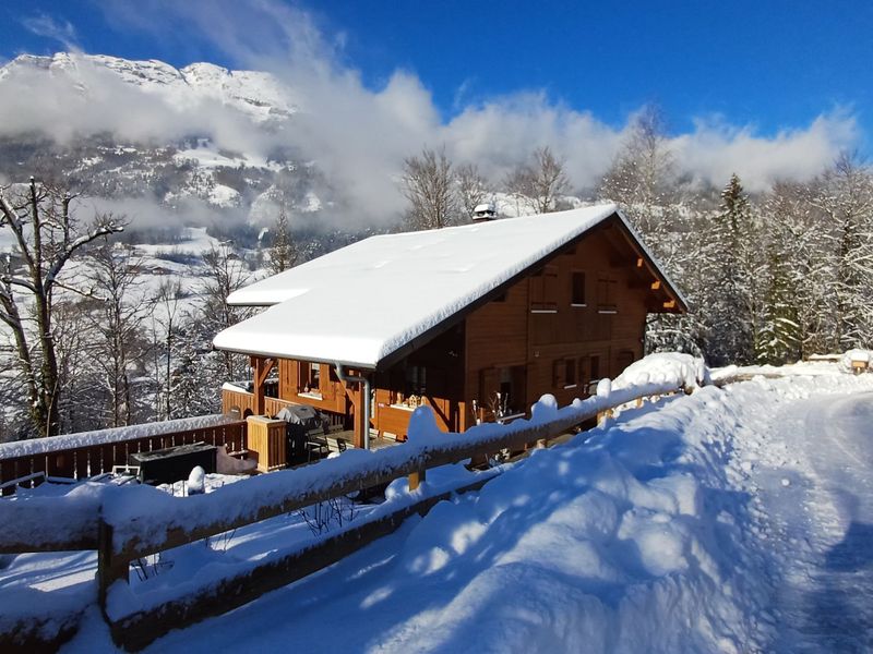 Châlet Le Blueberry - Le Grand Bornand