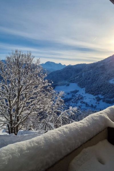 Appart'Hotel T du Morel A - Doucy