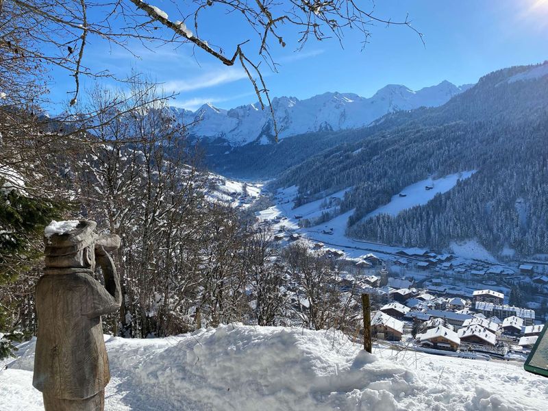 Studio Le Grand-Bornand, 1 pièce, 4 personnes - Le Grand Bornand
