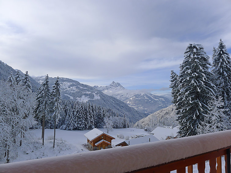Chalet 4 kamers 6 personen Comfort - Chalet Chalet Double Rouge - Gryon