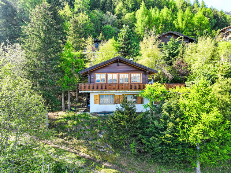 Châlet 4 kamers 8 mensen - Châlet Dejo A Dzeu - Nendaz