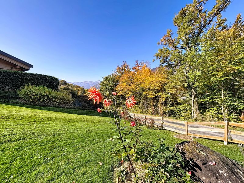Châlet Le Blueberry - Le Grand Bornand