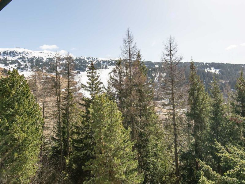 Flat Hippocampe - Chamrousse