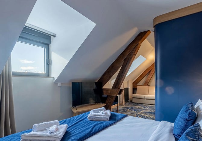 Superior Kamer appartement (voor 1 volwassene) op basis van halfpension - Hotel Madame Vacances Les Cimes 3* - Vaujany