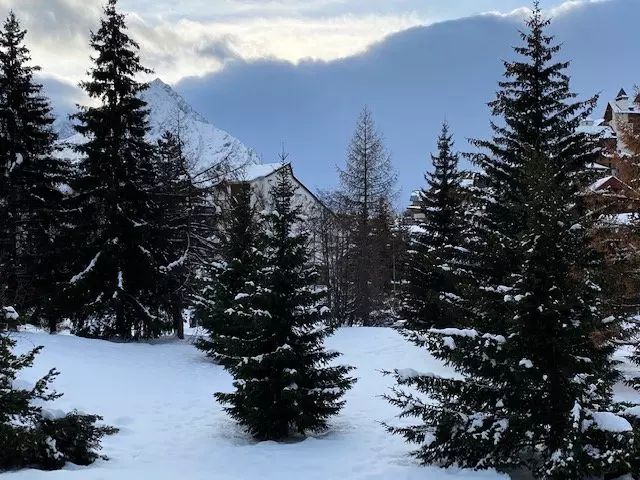 Schitterend gerenoveerde studio aan de voet van de pisten - Residentie Cote Brune 3 - Les Deux Alpes Centre