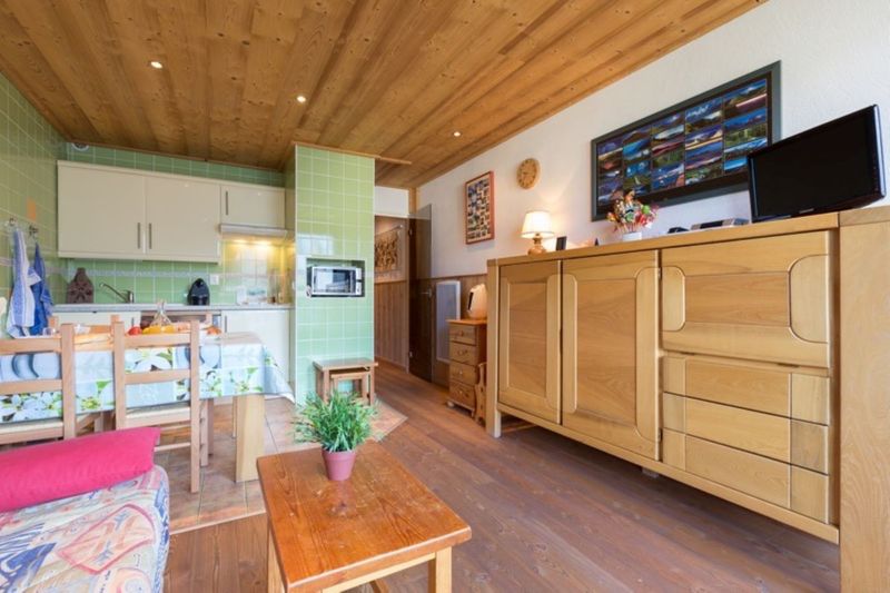 Studio 4 mensen uitzicht op de bergen en uitzicht op de skipistes - Studio Lauvitel N°F4 - ST4 - Les Deux Alpes Centre