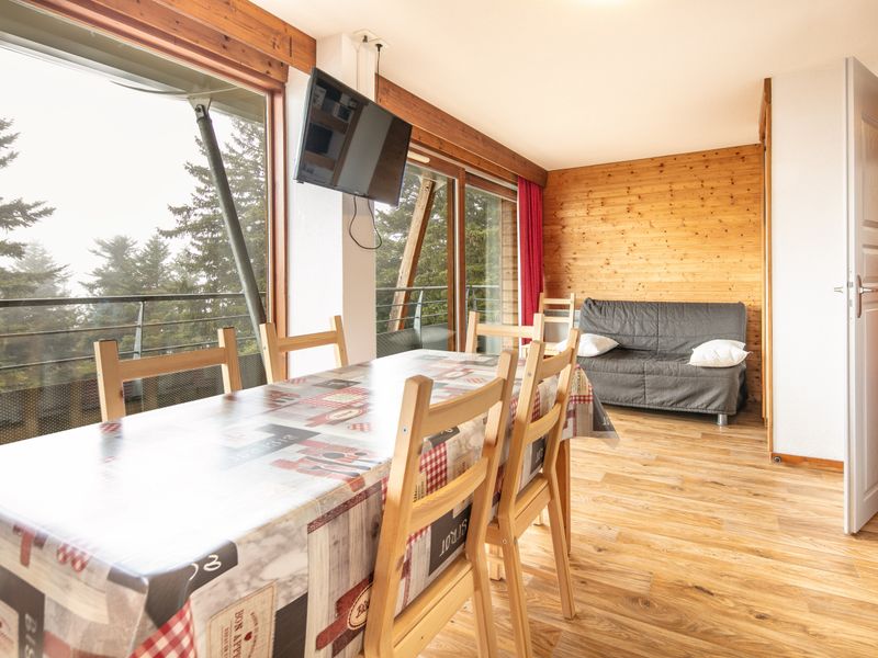 4 kamer appartement 8 personen uitzicht op de bergen - Flat V du Bachat Arolles A N°21 - 4P8 - Chamrousse