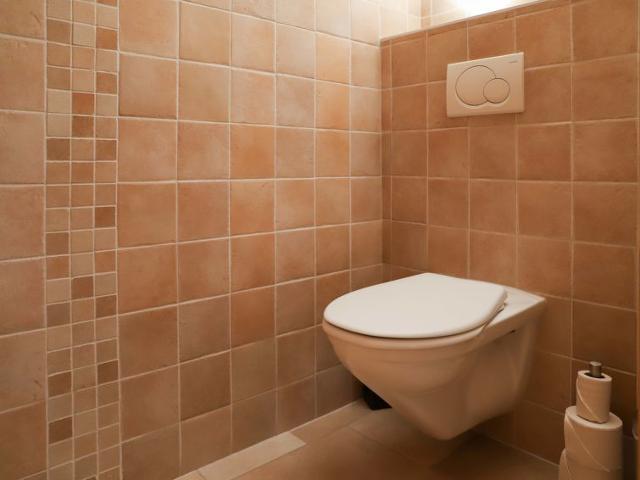 Flat Cor des Alpes 16 - Nendaz