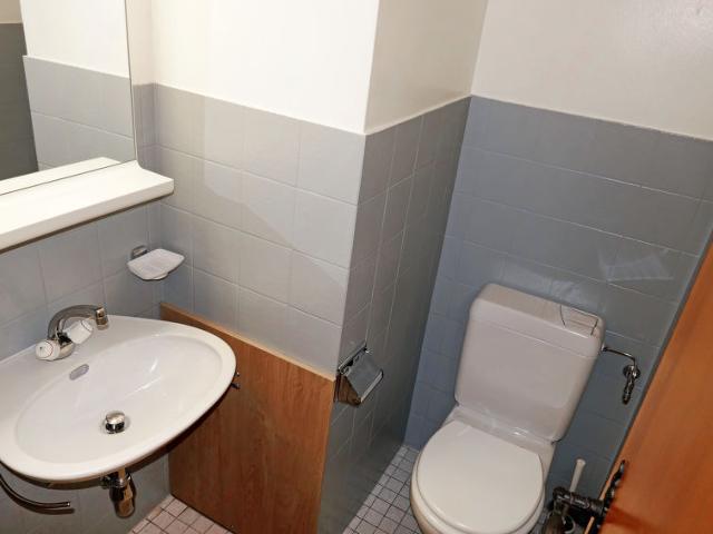 Flat Les Platanes E3 - Nendaz