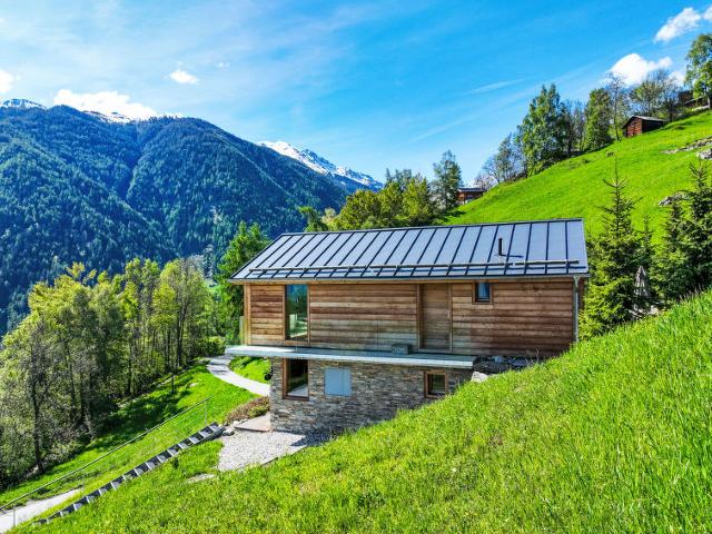 Châlet Papillon - Nendaz