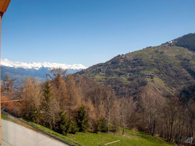 Châlet Papillon - Nendaz