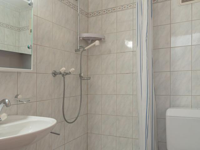 Flat Victoria 1 B1 - Nendaz