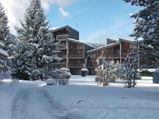 Flat Les Joncioles - Samoëns