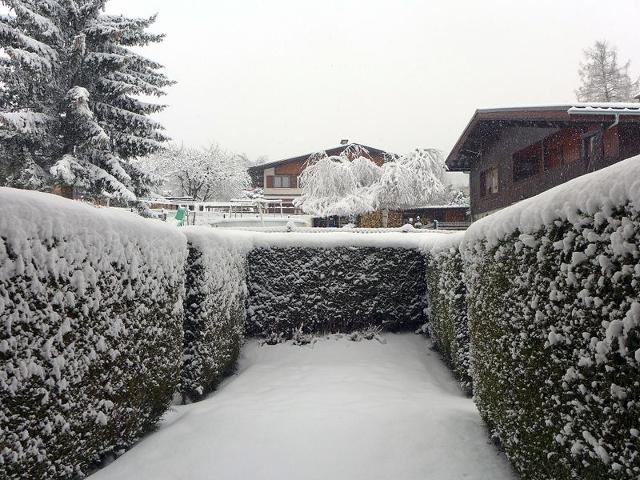 Flat Les Chamois - Les Houches