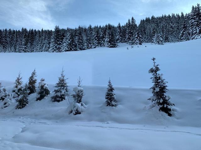 Appartements L'ariondaz - Courchevel 1650