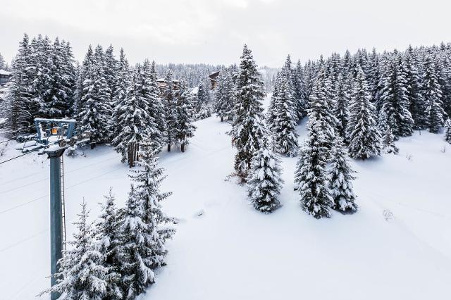 Appartements Domaine Jardin Alpin - Courchevel 1850