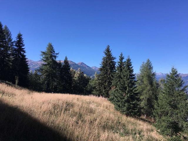 Flats GRAND ARBOIS - Les Arcs 1800