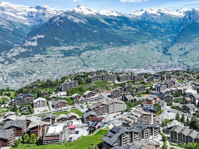 Flat Valaisia 36A - Nendaz