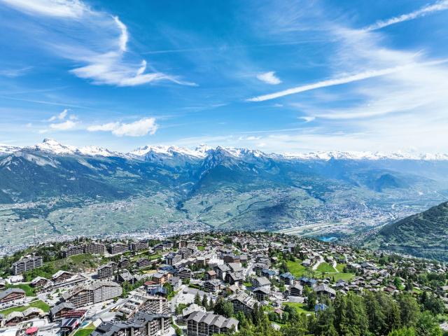 Flat Valaisia 36A - Nendaz