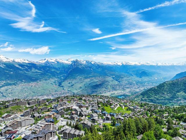 Flat Valaisia 36A - Nendaz