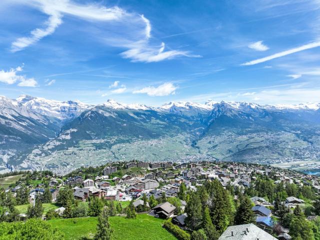 Flat Valaisia 36A - Nendaz