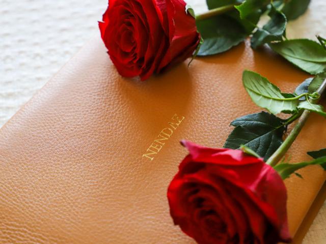 Flat Domaine des Reines A2 - Nendaz