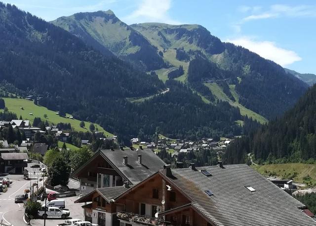 Appartements Le Grepon - Châtel