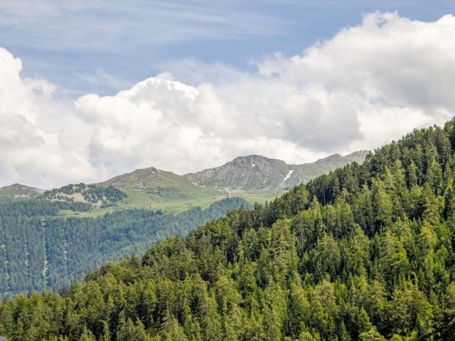 Flat Bouleaux B2 - Nendaz