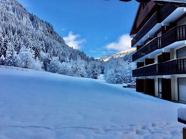 Appartements Les Myrtilles - Châtel