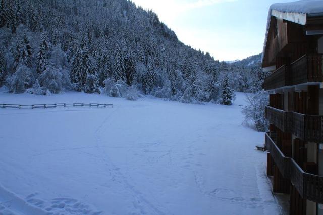 Appartements Les Myrtilles - Châtel