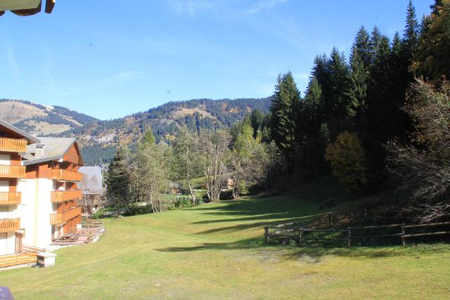 Appartements Les Myrtilles - Châtel