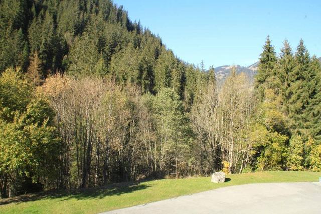 Appartements Le Perce-Neige - Châtel