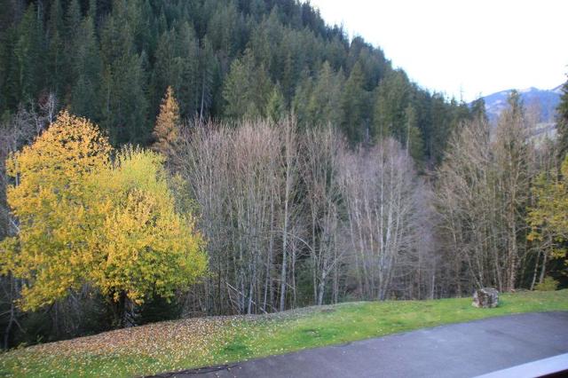 Appartements Le Perce-Neige - Châtel
