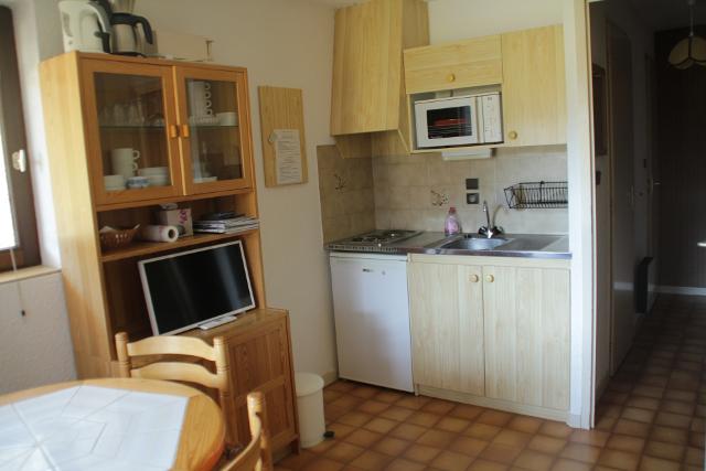 Appartements Le Perce-Neige - Châtel