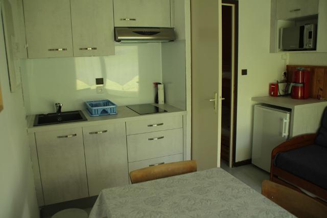 Appartements Le Perce-Neige - Châtel