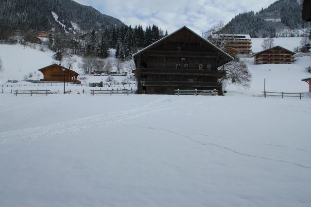 Appartements Le Perce-Neige - Châtel