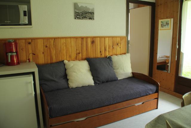 Appartements Le Perce-Neige - Châtel