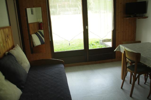 Appartements Le Perce-Neige - Châtel