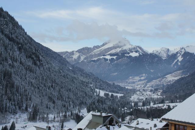 Appartements Les Seilles - Châtel