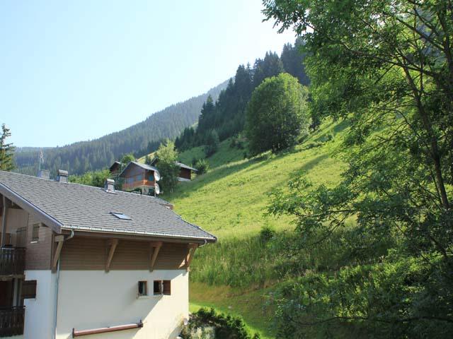 Appartements Le Viking - Châtel