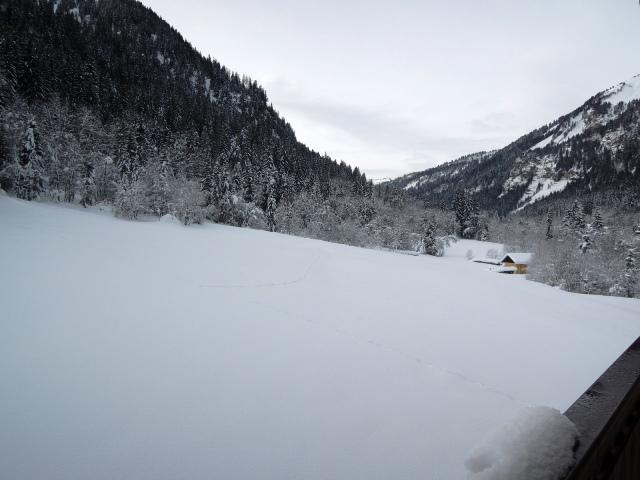 Appartements Les Myrtilles - Châtel
