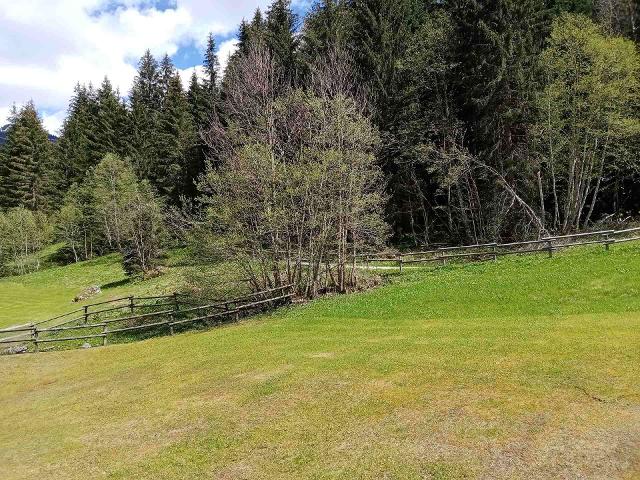 Appartements Les Myrtilles - Châtel