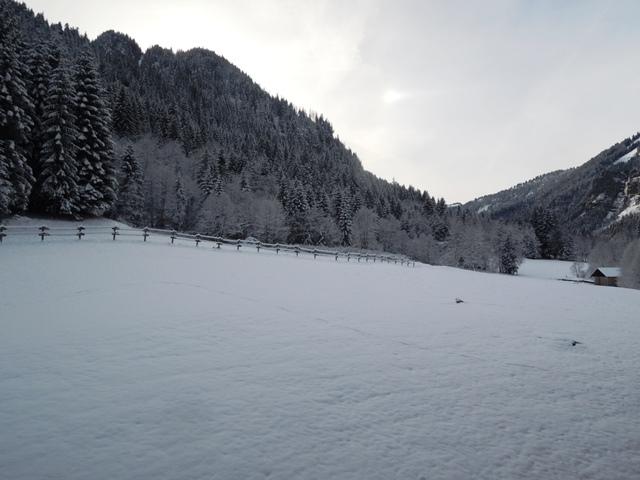 Appartements Les Myrtilles - Châtel