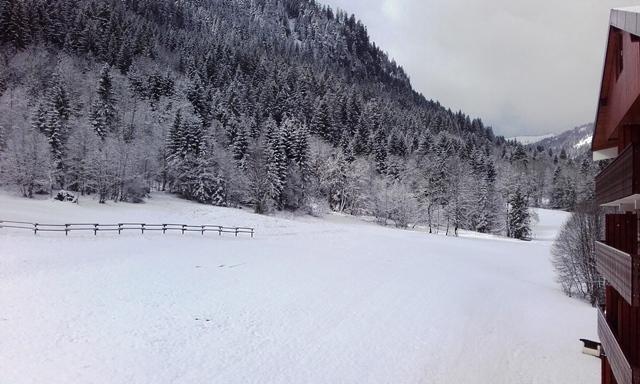 Appartements Les Myrtilles - Châtel