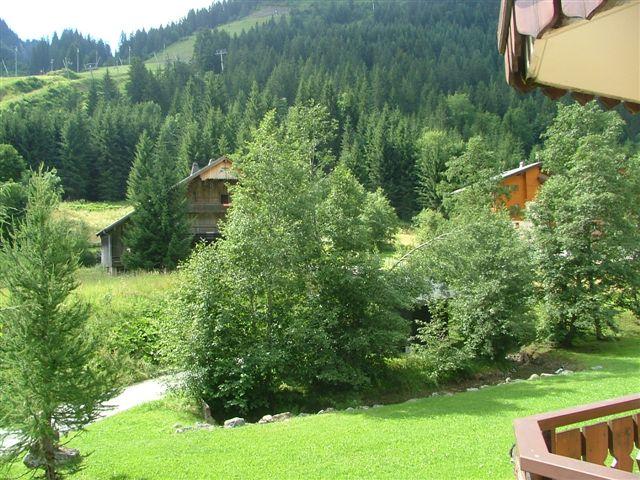 Appartements Le Mermy - Châtel