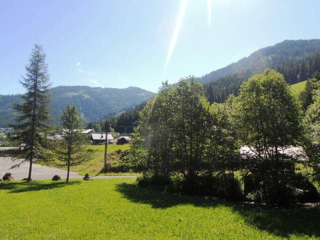 Appartements Le Mermy - Châtel