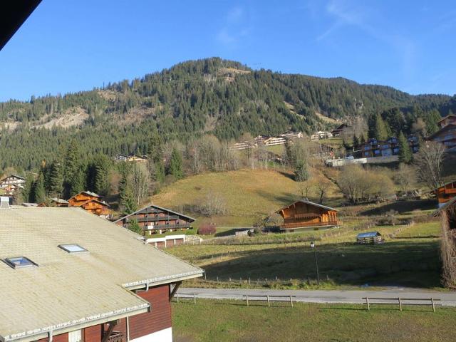 Appartements Le Perce-Neige - Châtel