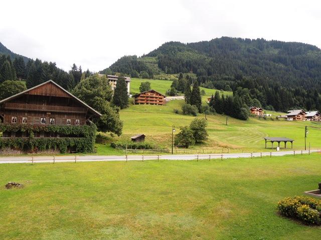 Appartements Le Perce-Neige - Châtel